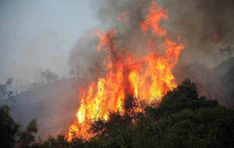 Φλέγεται η Κρήτη! – Πυρκαγιές και σε Ηλεία, Κιάτο και Αυλώνα – Δεκάδες τα πύρινα μέτωπα σε τέσσερα σημεία της χώρας